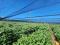 PR1586    Cattle and Irrigation farm 347 ha for sale Mookgopong Naboomspruit.