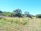 PR2144 - 2 ha small holding adjacent to town, with endless possibilities PR2144 - 2 ha small holding adjacent to town, with endless possibilities