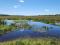 Copy of PR1531 Cattle , Sheep Game and Irrigation farm for sale Modimolle 86 ha. Copy of PR1531 Cattle , Sheep Game and Irrigation farm for sale Modimolle 86 ha.