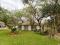 PR1841- Affordable and spacious 3 bedroom home in Constantia PR1841- Affordable and spacious 3 bedroom home in Constantia